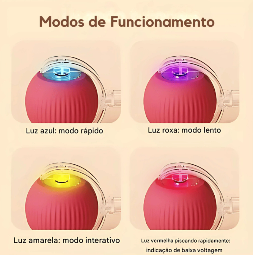Diversão adaptada PetHunt